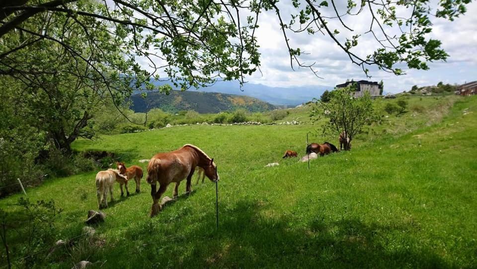Apartament Font-Romeu La Plane Sud - Vue Panoramique Zewnętrze zdjęcie